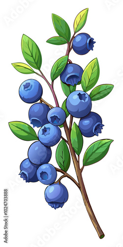 blueberry vector illustration - vector illustration of blueberry isolated on white, blueberry vector art