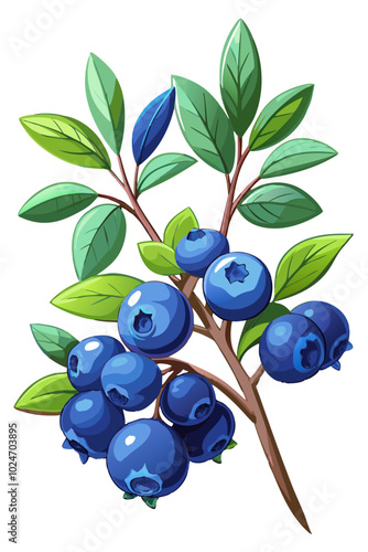 blueberries isolated on white, blueberry illustration - vector illustration of blueberry isolated on white, blueberry vector art