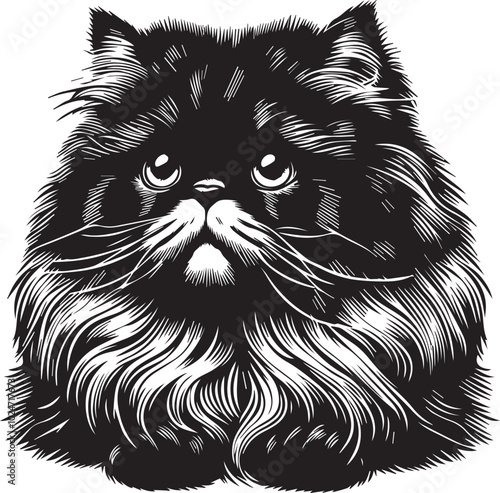 Persian cat big hair cute vector