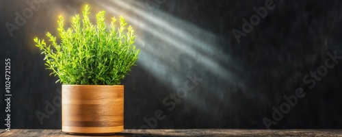 Vibrant plant in wooden pot with dramatic sunlight on rustic table photo