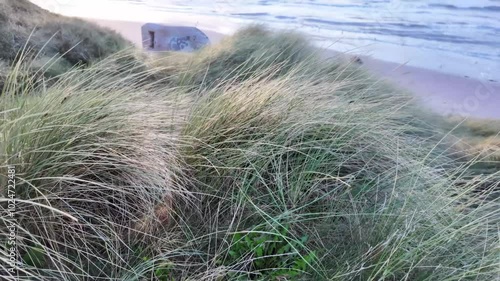 Hirtshals Denmark beach with sunset and gras 