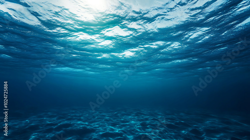 Beneath surface, dark blue ocean reveals its tranquil beauty