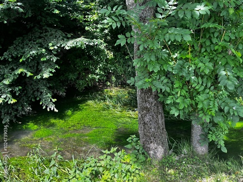 park