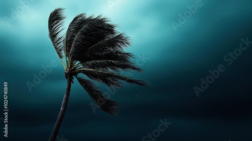 Single palm tree bending in strong wind against dark stormy sky, capturing severe weather conditions and the impact of a storm on nature. photo