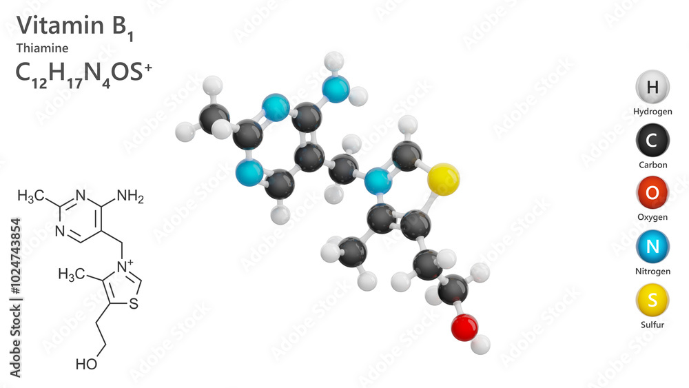 Thiamine or B1 vitamin. 3d model of molecule. Molecular formula: C12H17N4OS. Chemical model: Ball and Stick. white background. 3d illustration Thiamine or B1 vitamin. 3d model of molecule. Molecular formula: C12H17N4OS. Chemical model: Ball and Stick. white background. 3d illustration