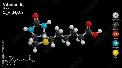 Biotin, or B7 vitamin. 3d model of molecule. Molecular formula: C10H16N2O3S. Chemical model: Ball and Stick. Black background. 3d illustration photo