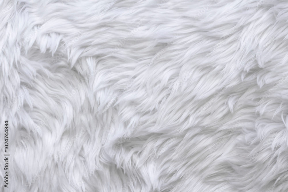 Fototapeta premium white wool texture background, close up of a long wool carpet