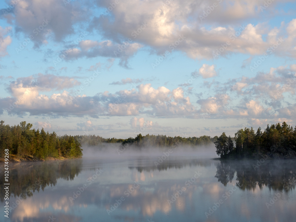 Fototapeta premium morning landscape on a forest lake