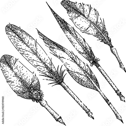 quill pen set hand drawn. calligraphy dip, parchment scroll, manuscript antique quill pen vector sketch. isolated black illustration