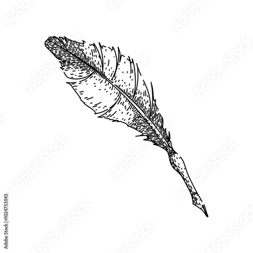 dip quill pen hand drawn. parchment scroll, manuscript antique, vintage scribe dip quill pen vector sketch. isolated black illustration