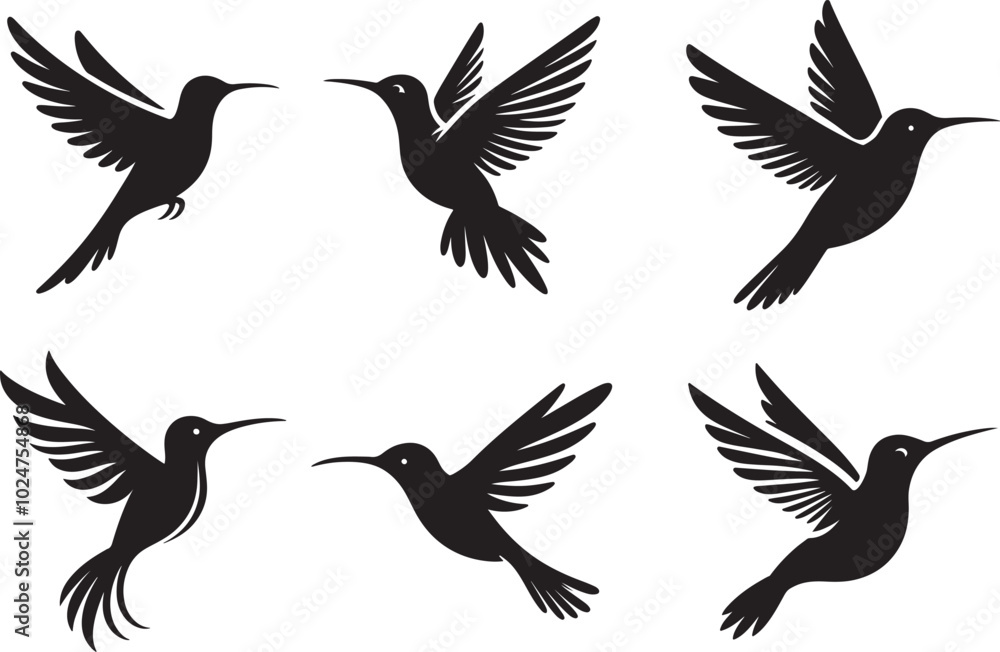 Obraz premium A collection of various hummingbird silhouette. Vector tropical bird hummingbird silhouette. 