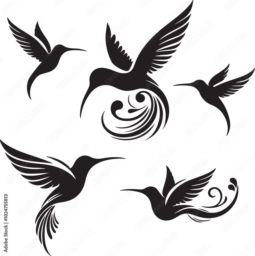 Fototapeta premium A collection of various hummingbird silhouette. Vector tropical bird hummingbird silhouette. Minimalist vector, hummingbird illustration.