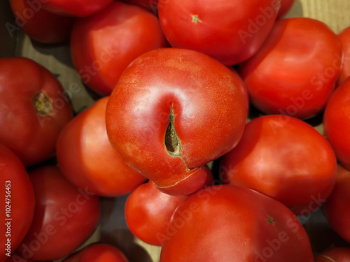 A red ugly tomato is lying with others on the store counter. photo