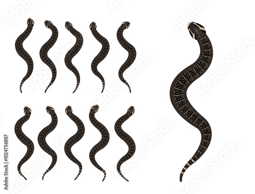 Puff Adder Snake Animal Animation Sequence Cartoon Vector