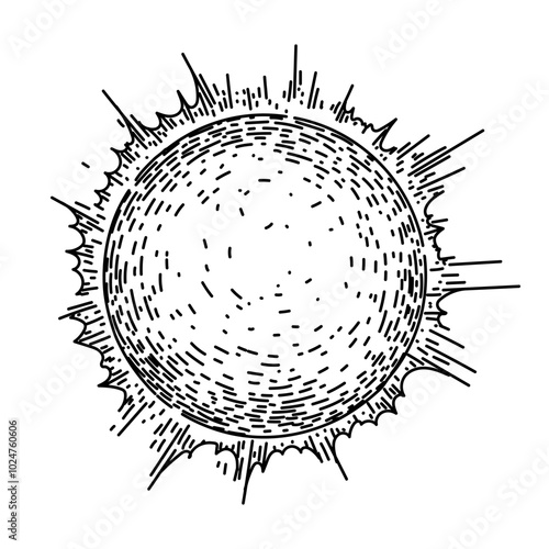 sunset sun hand drawn. sunshine rays, energy star, heliosphere photosynthesis sunset sun vector sketch. isolated black illustration