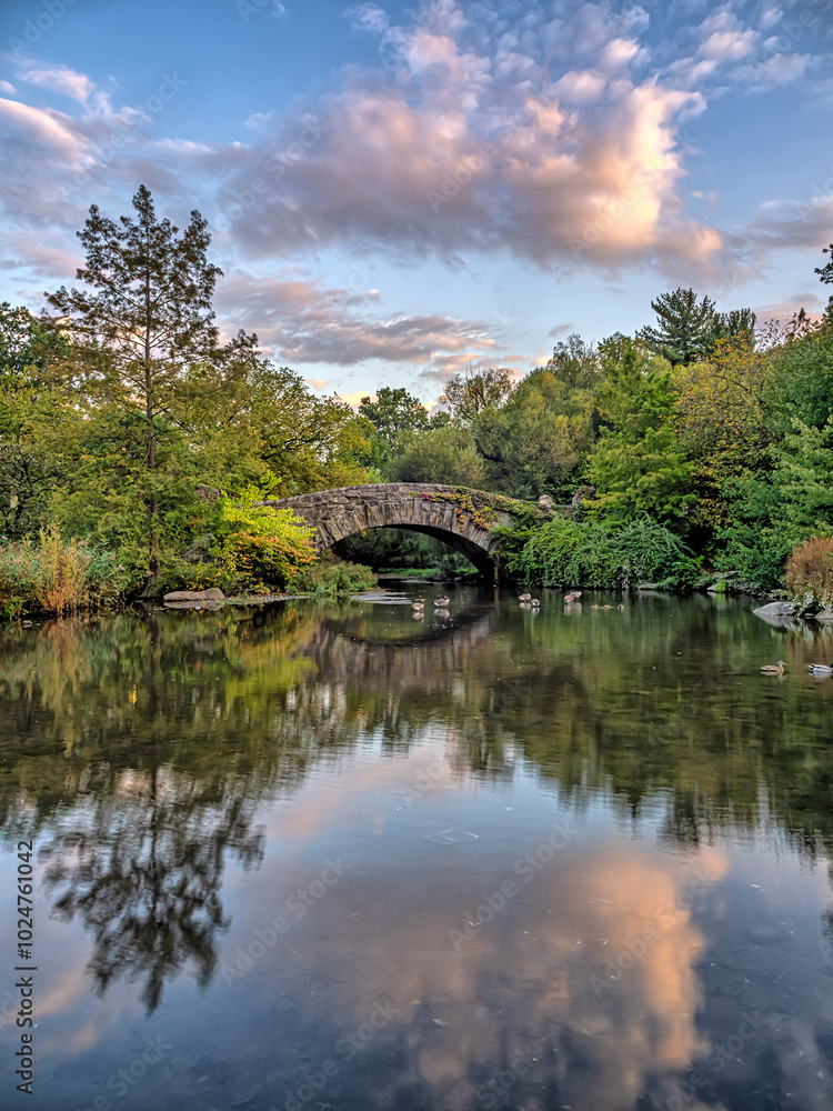 Fototapeta premium Gapstow Bridge in Central Park, early morning