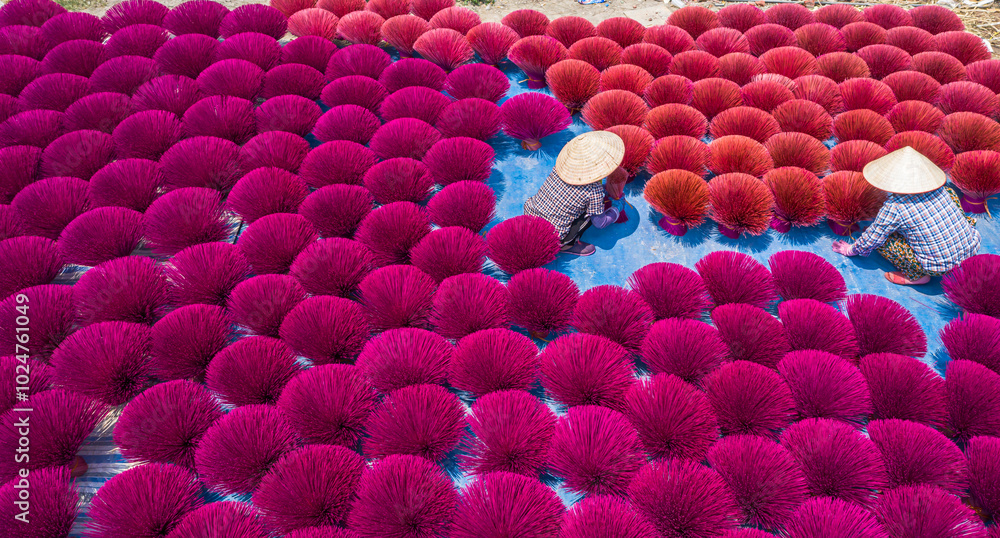 Obraz premium Quang Phu Cau village in Hanoi, Vietnam is famous for its century old craft of making incense. Drying incense sticks in Quang Phu Cau handicraft village. Travel and landscape concept.