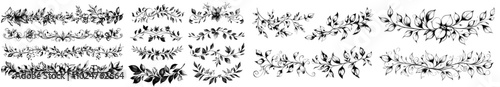 A pair of pair of sprigs made of twigs or leaves scroll decoration. A pair of branches and a hand drawn divider modern set.