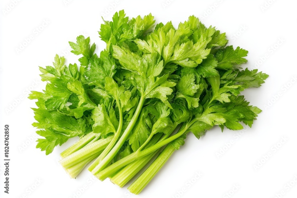 Fresh green celery leaves isolated on white background, top view. Generative AI. Fresh green celery leaves isolated on white background, top view. Generative AI.