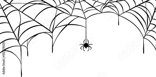 Halloween spider web and spider isolated on white background design, isolated vector clip art