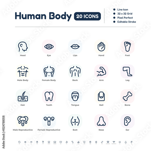 Human Body Parts Icon Set – Simple Line Icons with Editable Stroke, 32x32 Pixel Perfect Vector