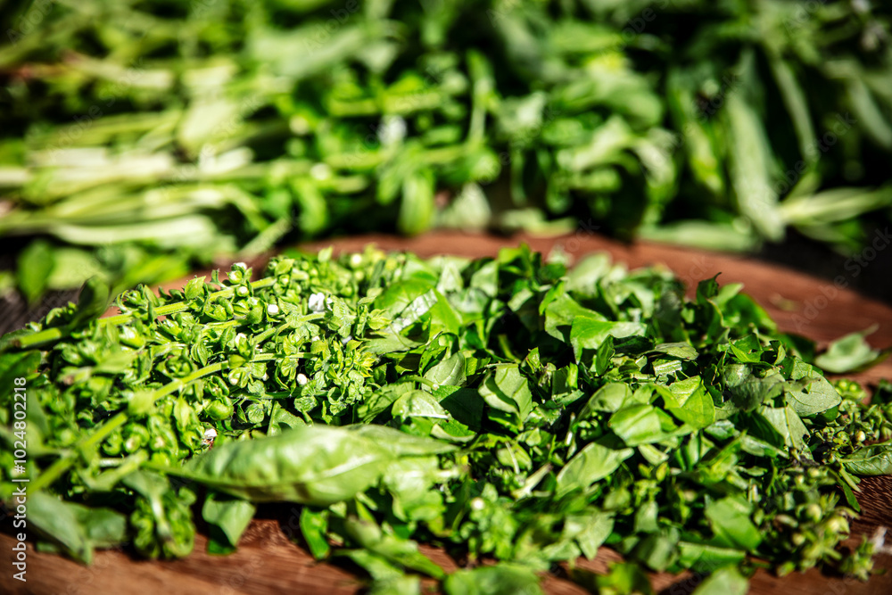 freshly cut basil including the flowers freshly cut basil including the flowers