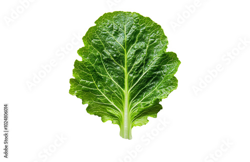 Fresh green leafy vegetable isolated on a light surface, showcasing its natur...