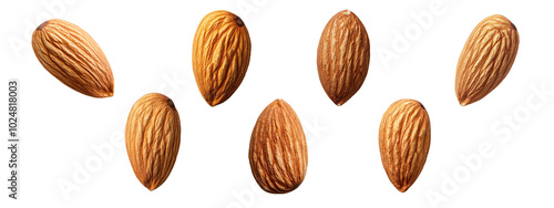 Wallpaper Mural A single Almond on white background Torontodigital.ca