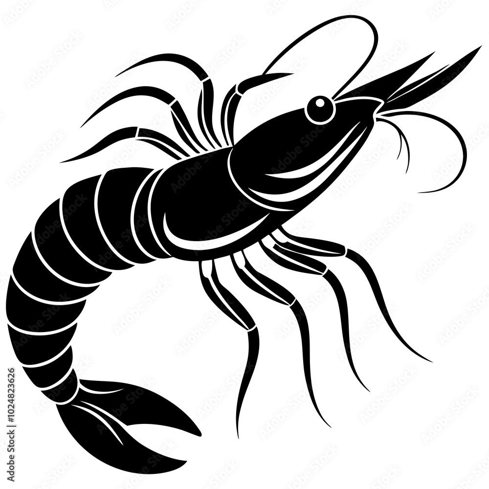 illustration of a shrimp illustration of a shrimp