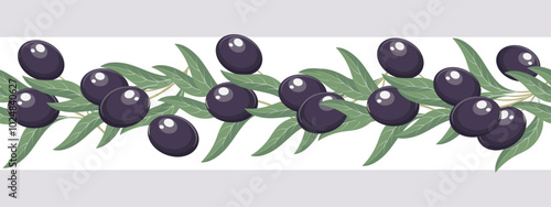 Seamless border with olives. Horizontal ornament with olive fruits on a branch. Illustration