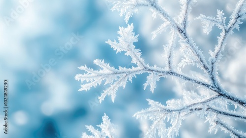 Icy branches covered in frost against a blurred winter background, perfect for copy