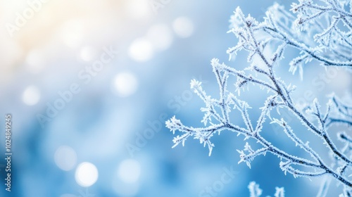 Icy branches covered in frost against a blurred winter background, perfect for copy