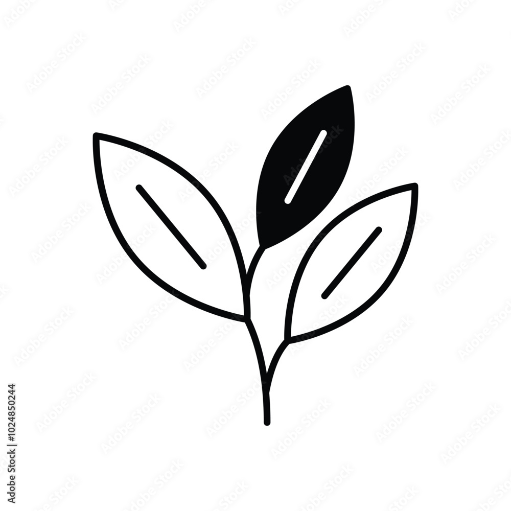 Obraz premium Sage vector icons stock illustration