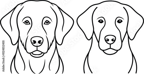Labrador line art, Labrador line drawing, Labrador outline drawing, Labrador illustration