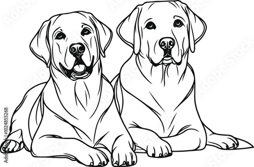 Labrador line art, Labrador line drawing, Labrador outline drawing, Labrador illustration