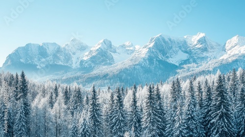 Winter scene of snow-covered mountains and forest with clear sky for copy space