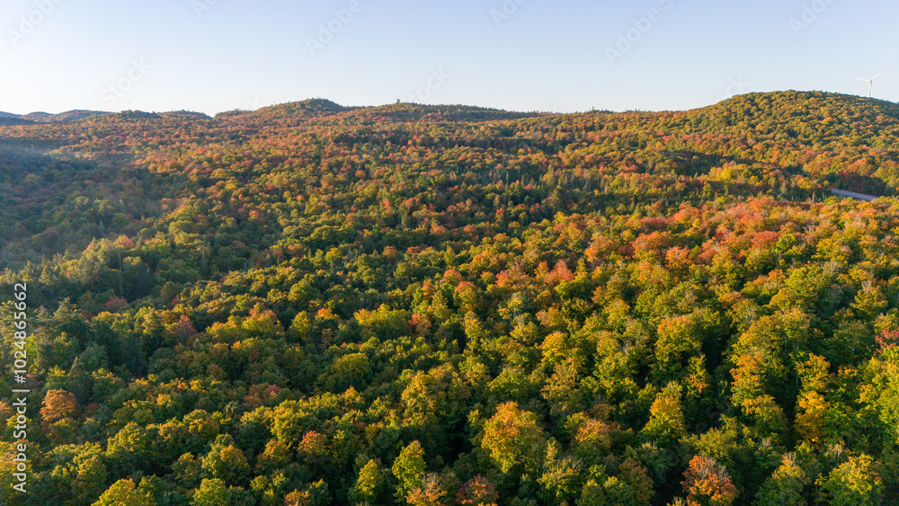 Obraz premium Fall in Northern Ontario, Canada
