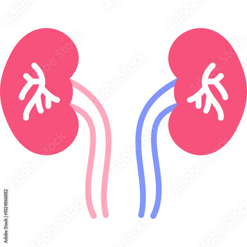 Kidney Icon