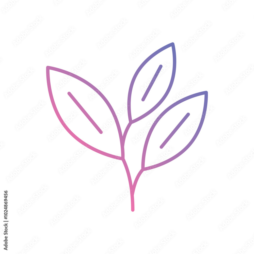 Sage vector icons stock illustration Sage vector icons stock illustration