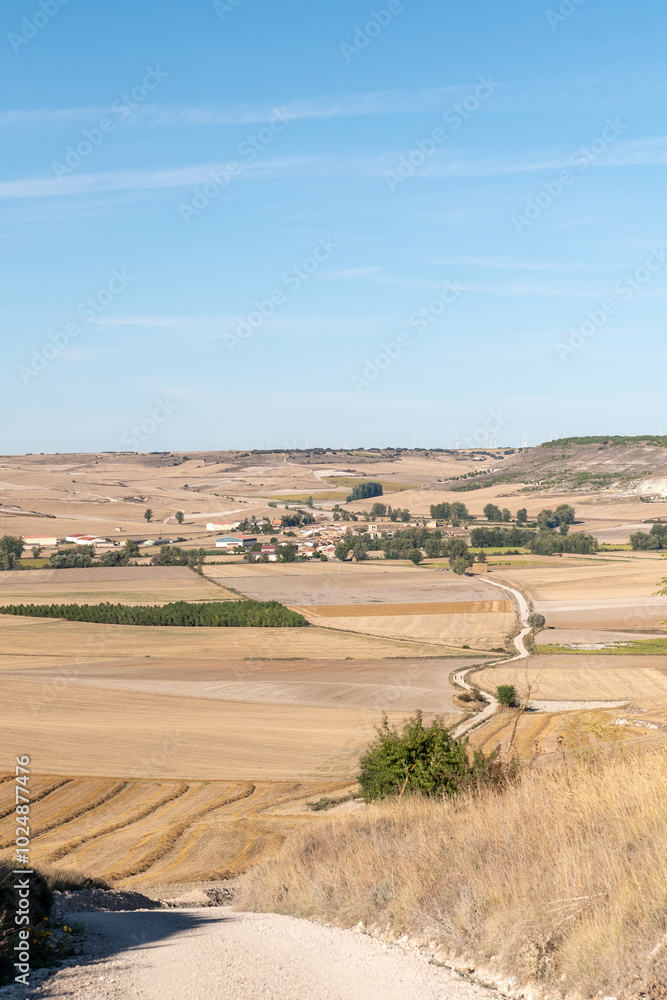 Obraz premium View of the stage of the Camino de Santiago from Burgos to Hornillos del Camino through the Cerealera Plateau