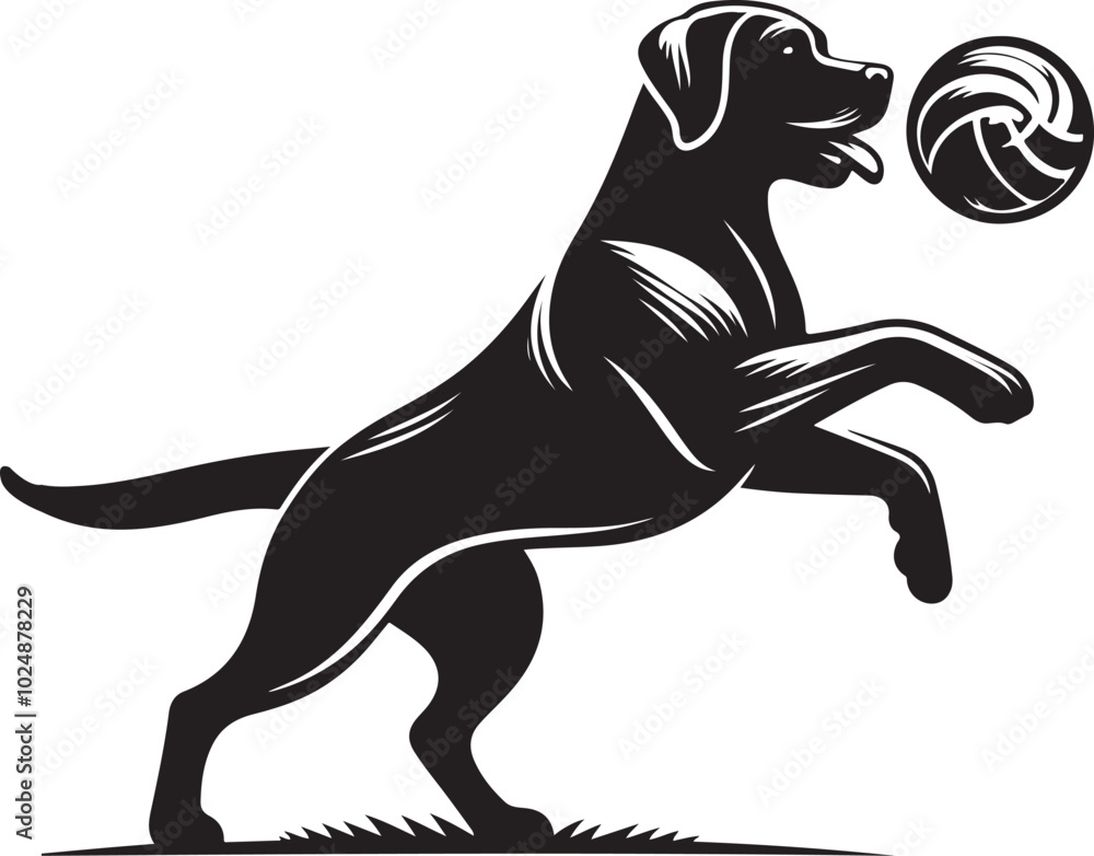 dog running with ball dog running with ball