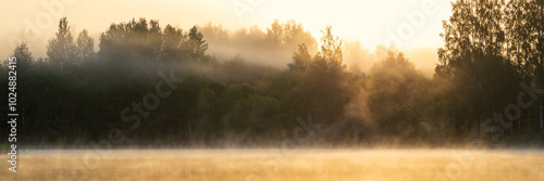 Morning fog on a forest lake. View of trees on the shore of the lake. Golden morning light at dawn. Fog in the forest and above the surface of the water, illuminated by the sun's rays. Wide panorama.