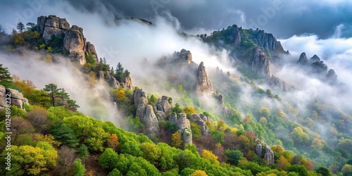 Misty forest in Demerdzhi mountain range in Valley of ghosts from a tilted angle photo