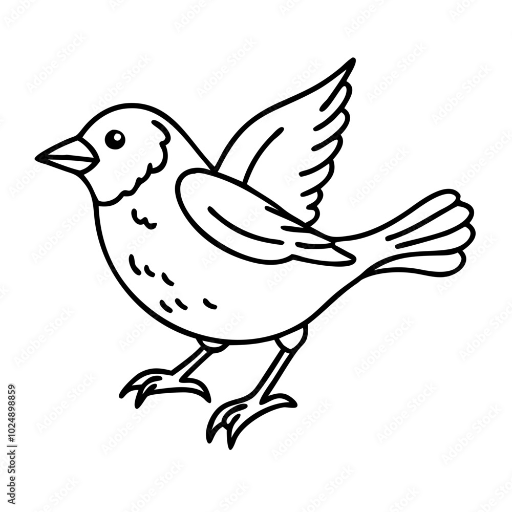 Obraz premium Line Art Illustration of a Sparrrow Bird with Wings Raised for Design Use