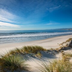 Leinwandbilder Dünen Kalifornischer Sandstrand mit Strandhafer  © Heaven