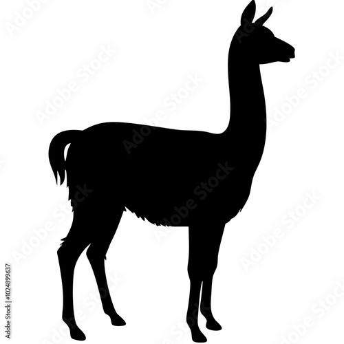  Llama Silhouette Vector Illustration for Wildlife and Nature Designs