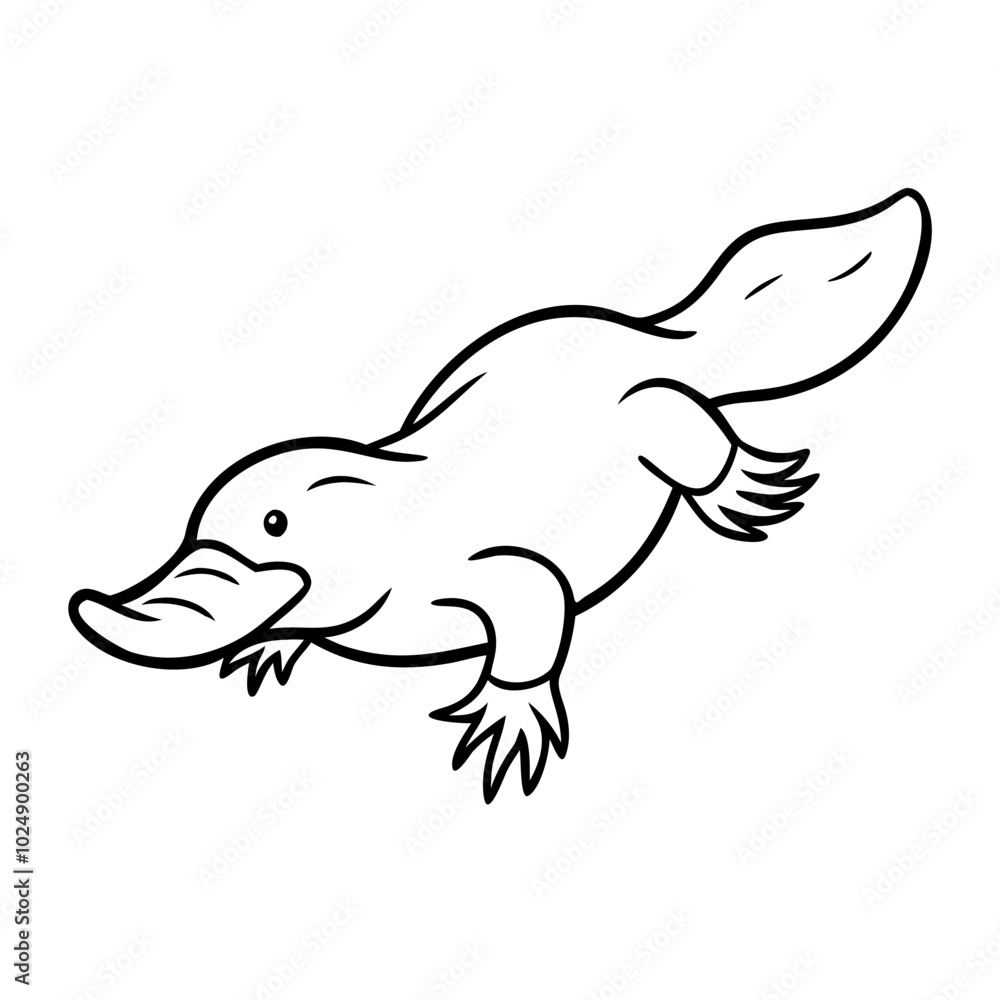 Fototapeta premium Platypus Line Art Vector Illustration Unique Animal Design