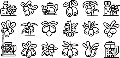 Sea buckthorn icons set. Sea buckthorn branch, berries, tea and bottle icons set. Outline style