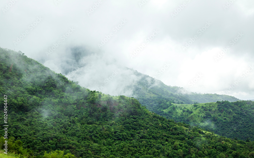 Beautiful scenery, fog and clouds on the mountain, tropical forest in rainy season in Thailand. Beautiful scenery, fog and clouds on the mountain, tropical forest in rainy season in Thailand.