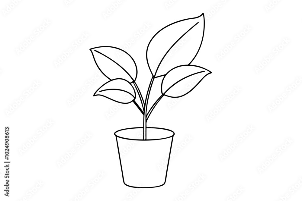 House plant in a pot doodle outline, Potted plant line art vector illustration
House plant in a pot doodle outline, Potted plant line art vector illustration